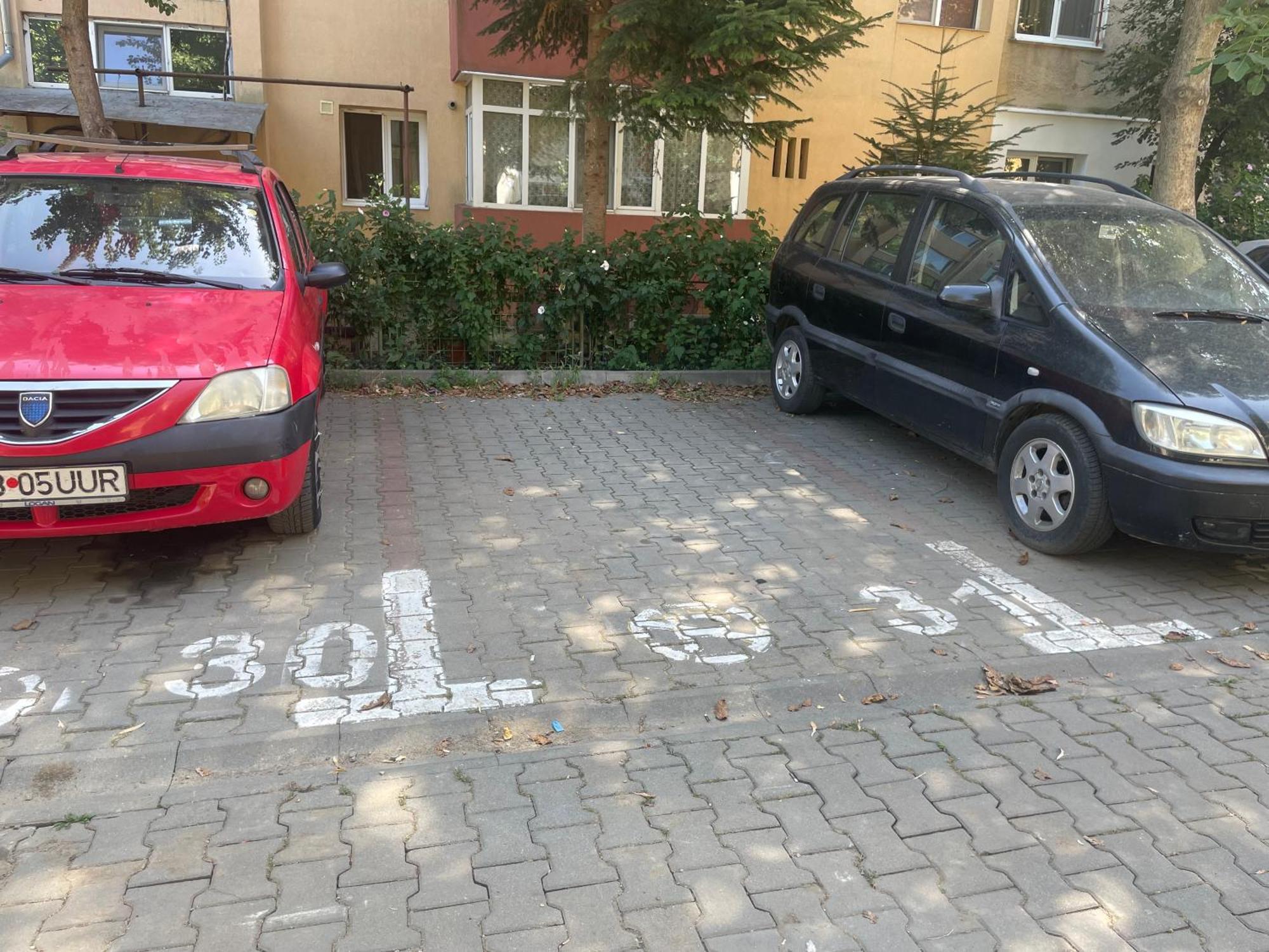 Kitty Sunflower Apartment Alba Iulia Dış mekan fotoğraf
